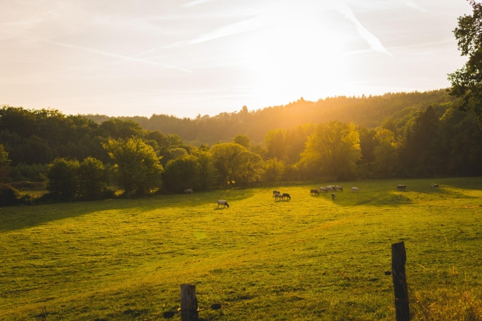 Lloyddirksfk4K Un Stavelot