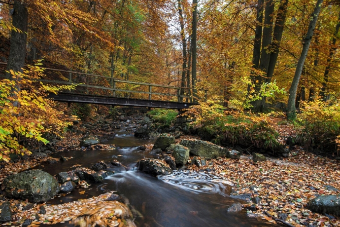 Nice,Bridge,Over,The,Hoëgne
